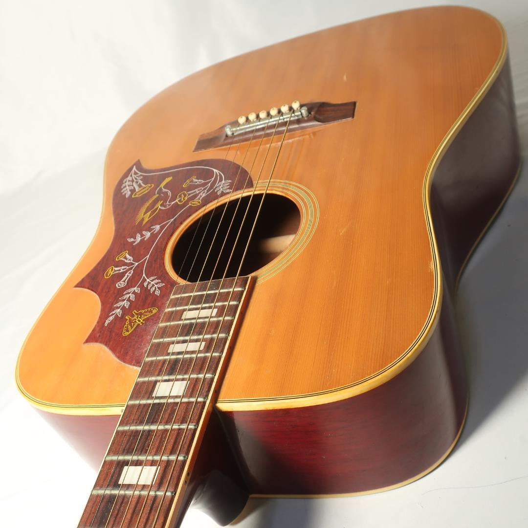 Elite Takamine HM-25 ハミングバード ギター ハードケース付
