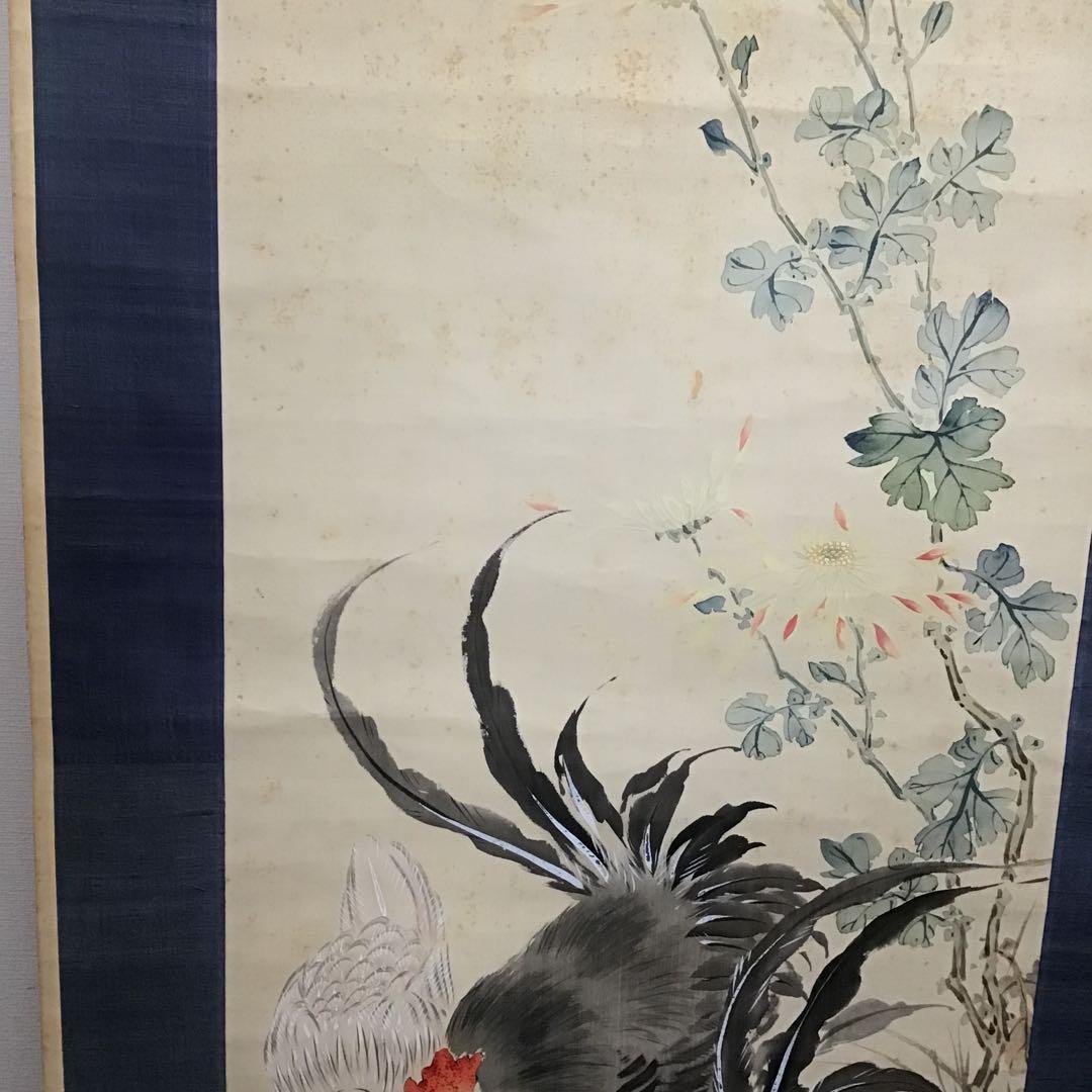 K茶道具　掛軸　「菊花鶏の圖」　小芳女史作　配送用自作桐箱　S204KJ