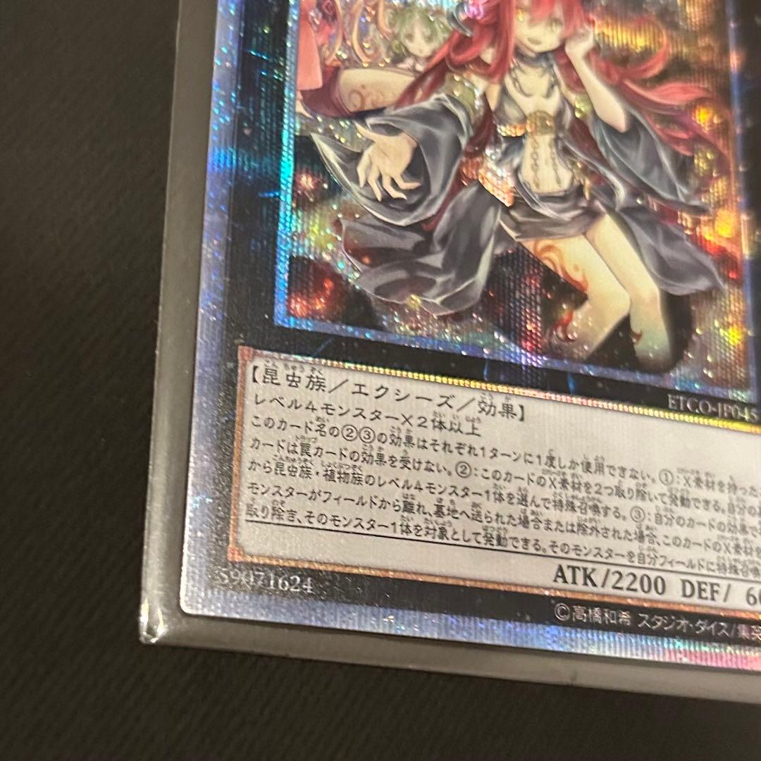 【美品級】遊戯王 アロメルスの蟲惑魔 20thシークレットレア
