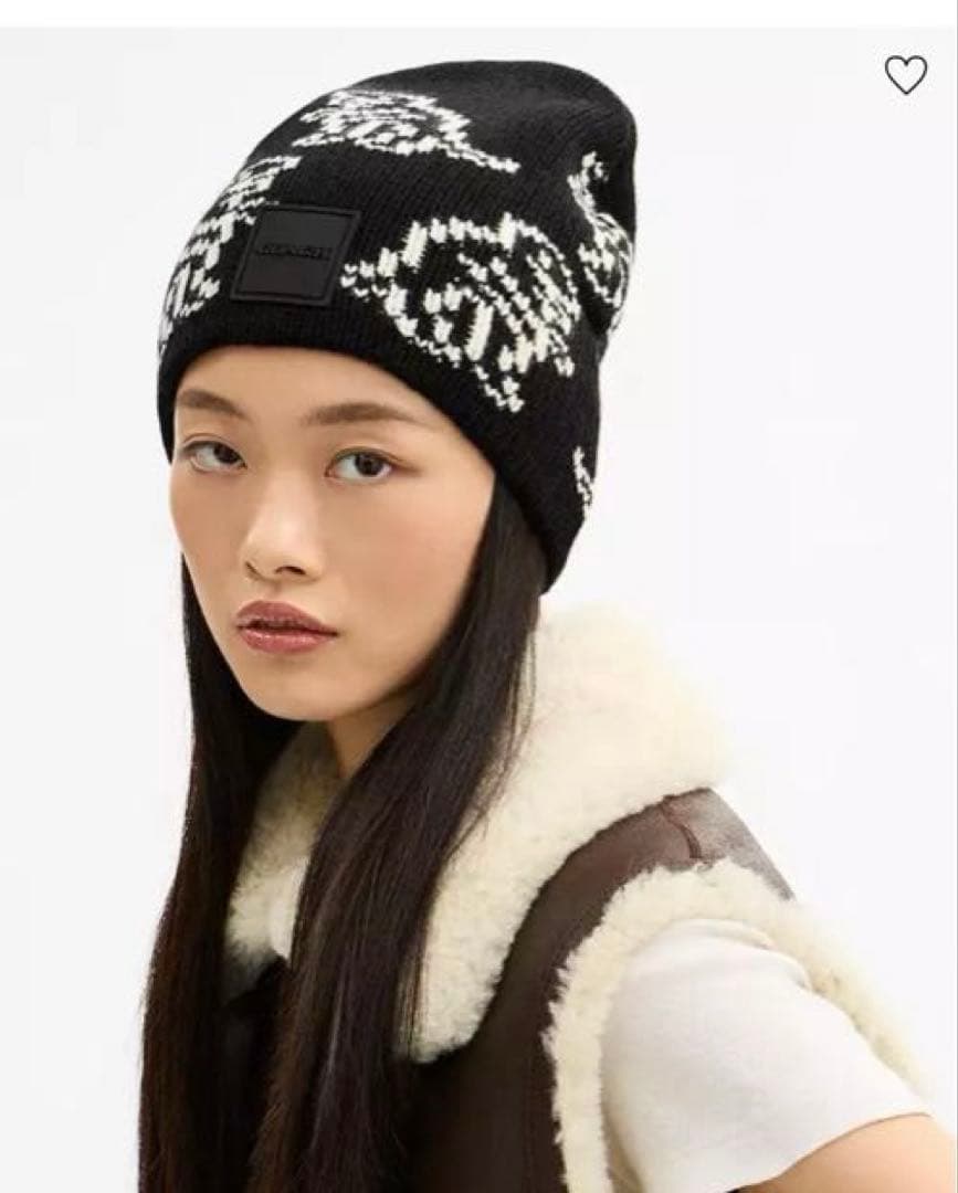 【新品未使用】COACHコーチ★ニット帽・ビーニー★ディノプリント 人気完売品