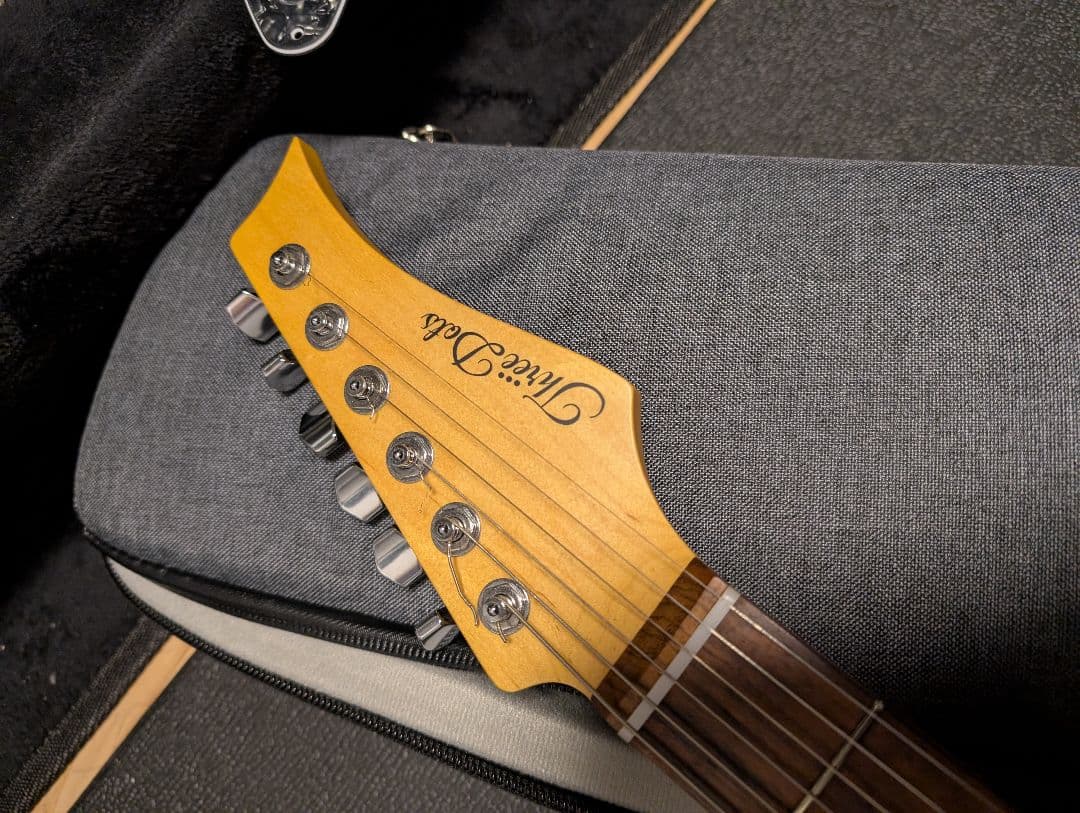 Three Dots Guitars s ケース付　オーダーピックガード付