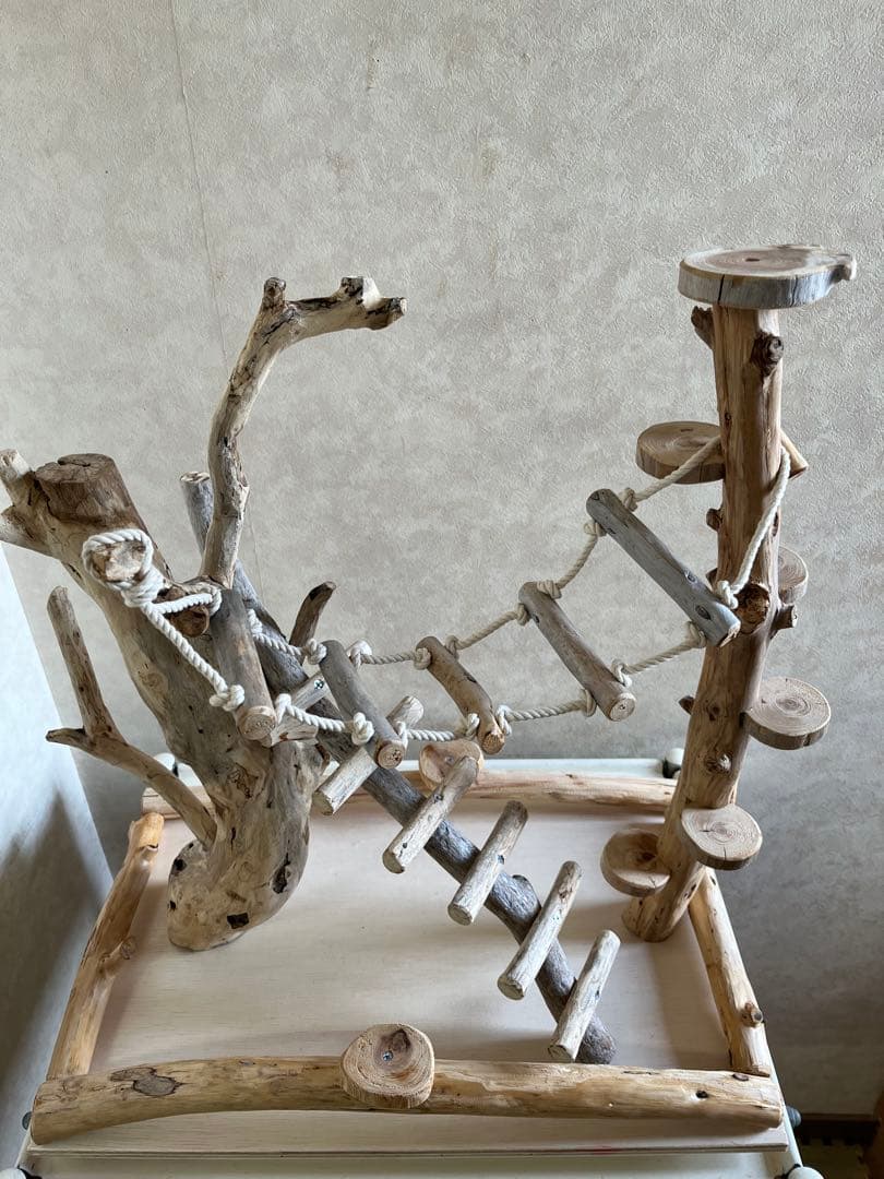 鳥インコ止まり木バードジムバードアスレチック卓上型