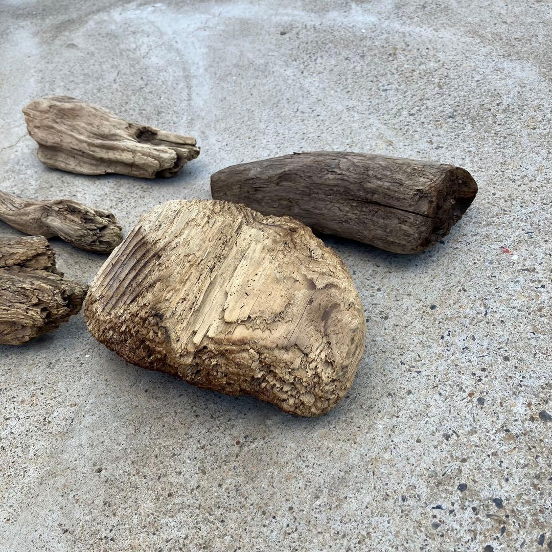 流木 5点セット 自然素材