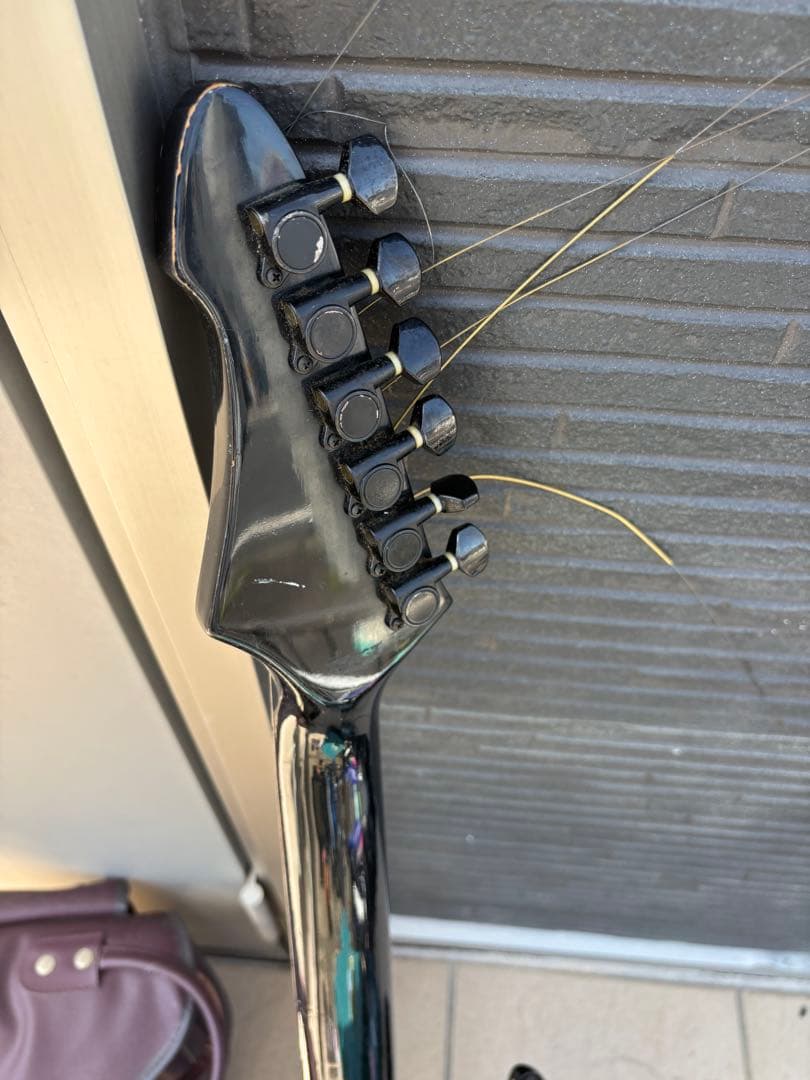 Black Dog by Aria pro Ⅱ