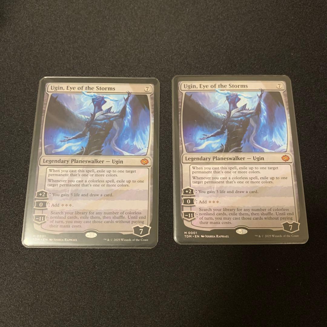 嵐の目、ウギン TDM 英語版 2枚セット