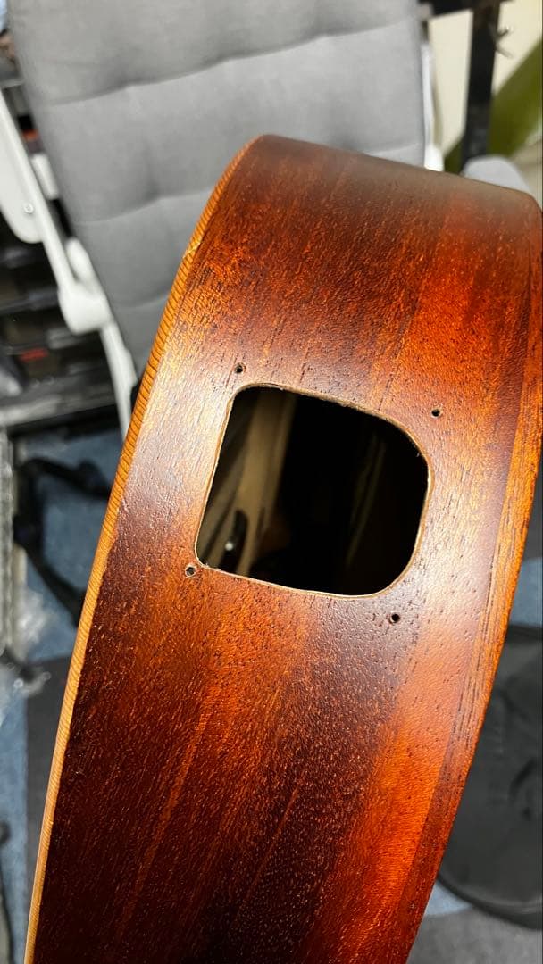 Lag Tramontane TN170ACE エレガットギター