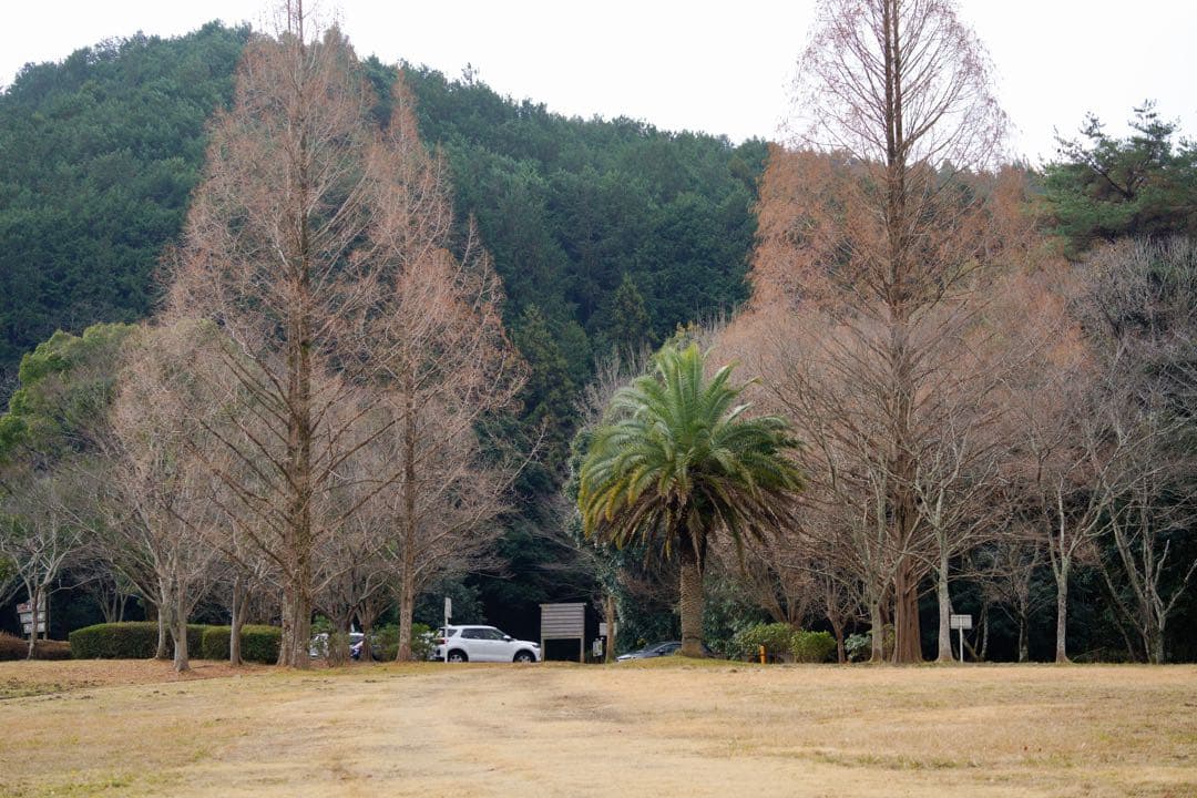 値下げ断行✴︎Sony FE 70-300mm F4.5-5.6 G OSS✴︎