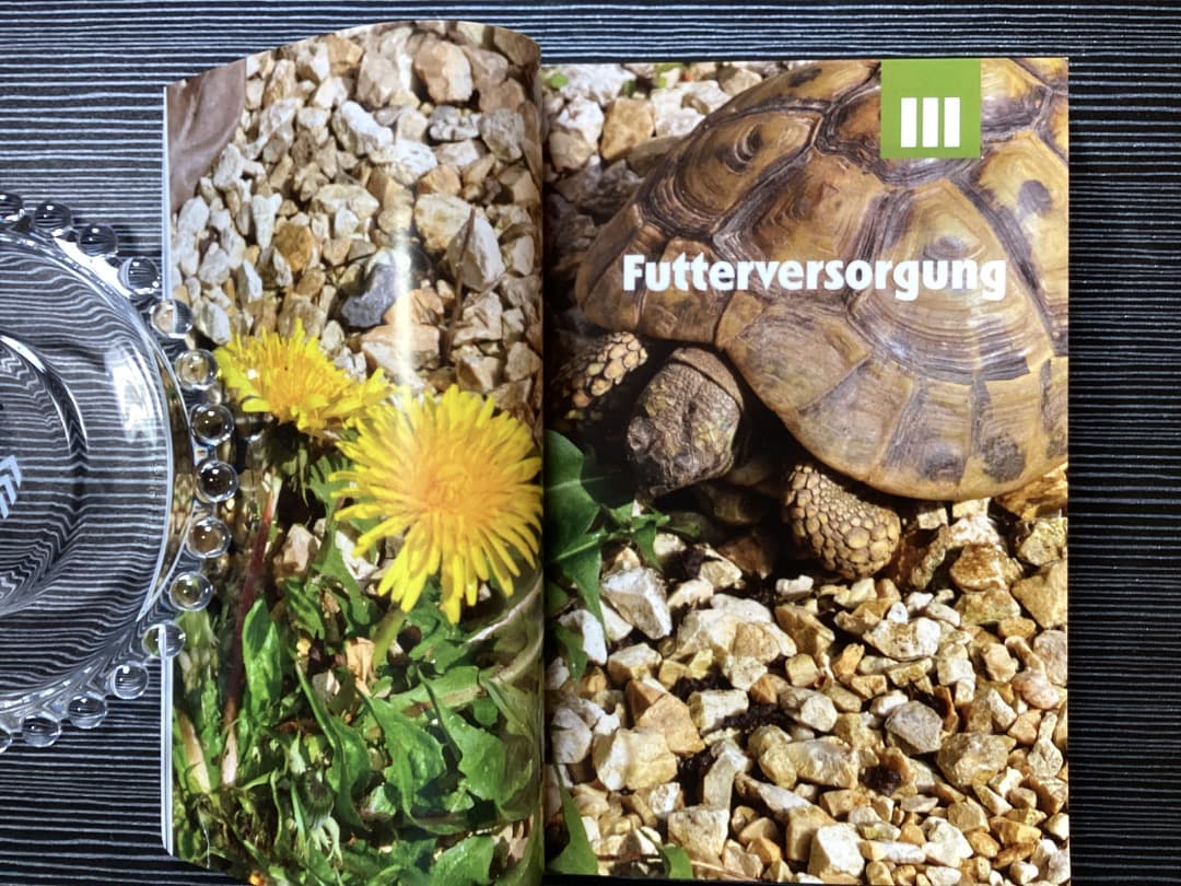 Thorsten Geier の亀本 BAND1,2,3 3冊 カラー写真 独語