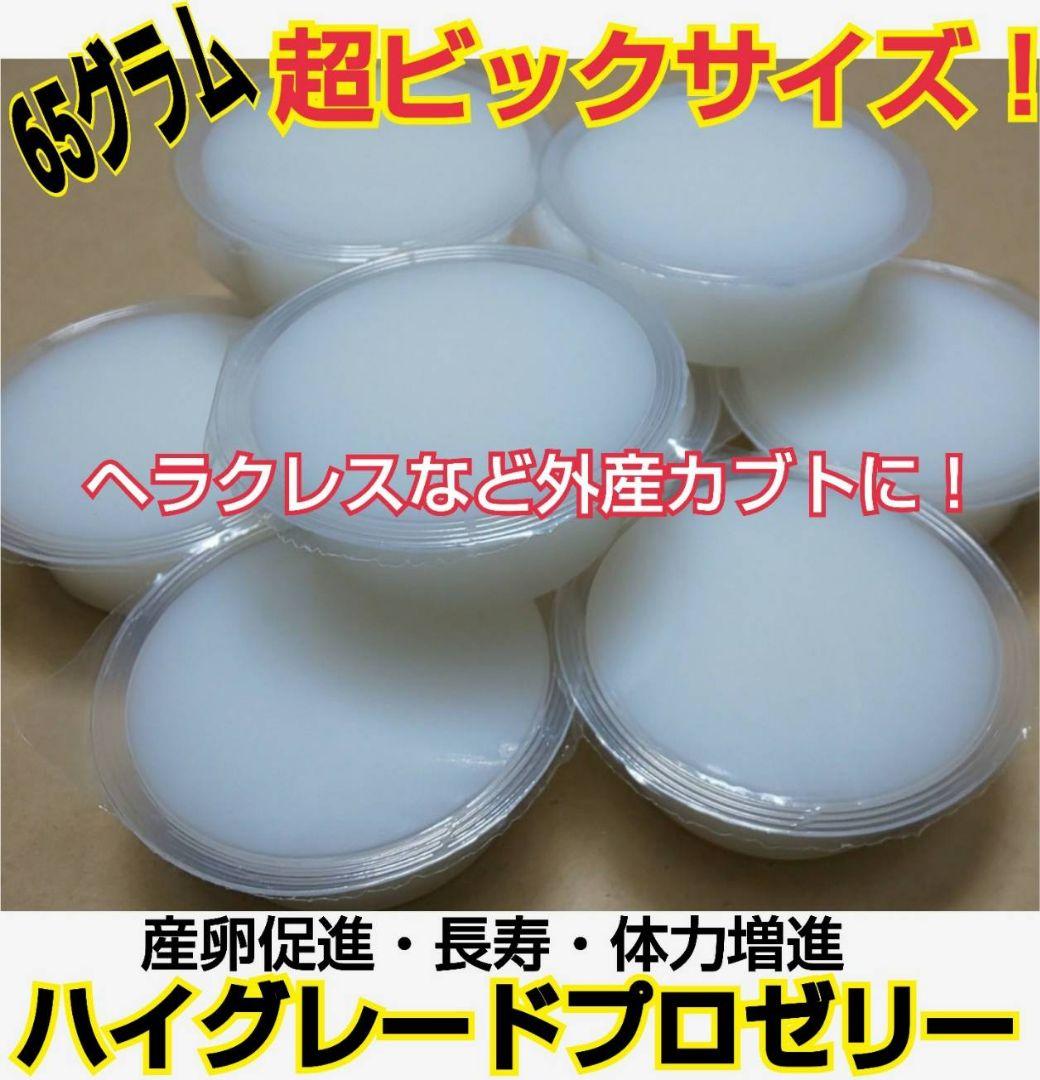 ビッグサイズ！ハイグレードプロゼリー☆200個　普通の4倍以上のデカサ！プロ仕様