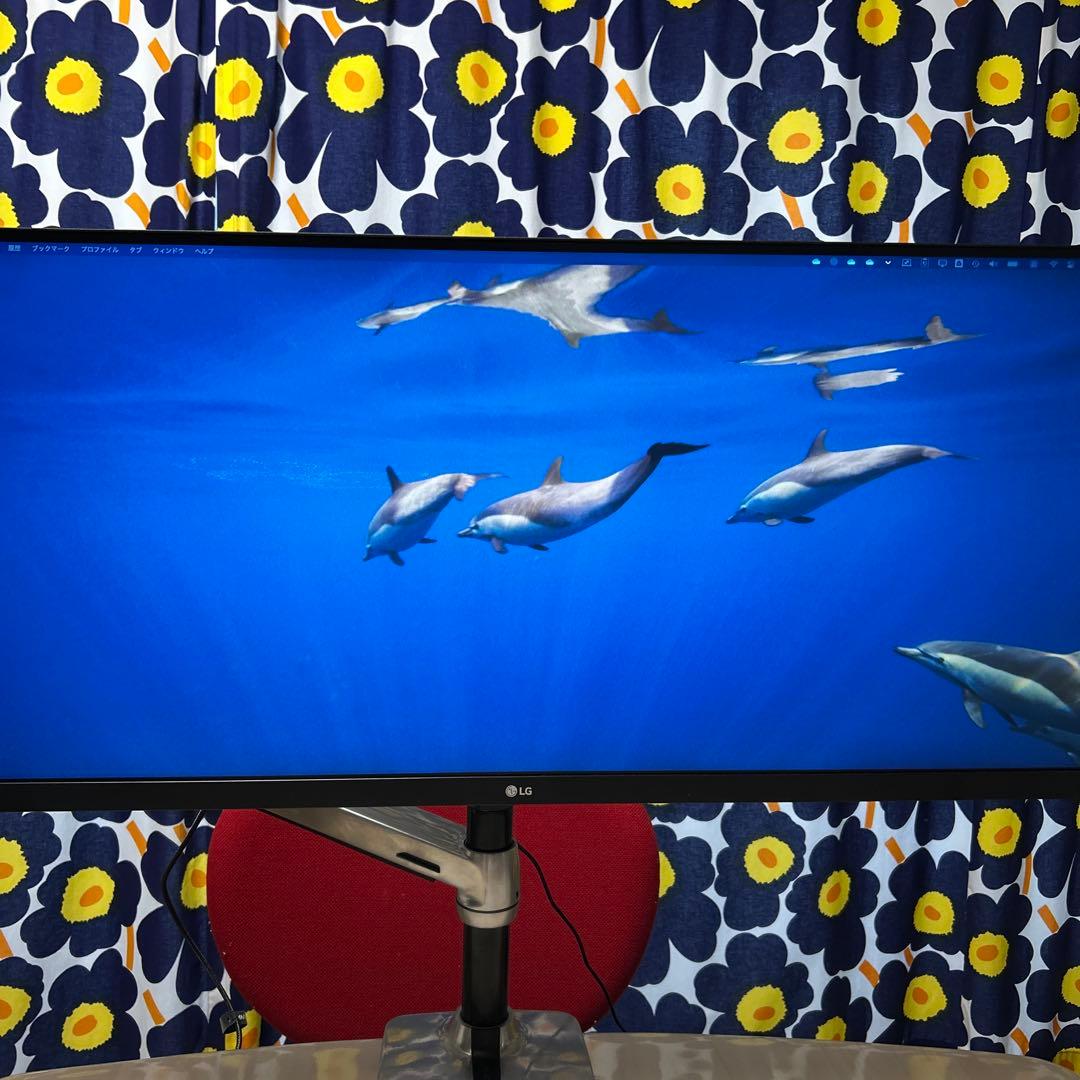 LG34WP500&ERGOTRON LXモニターアーム&送料込