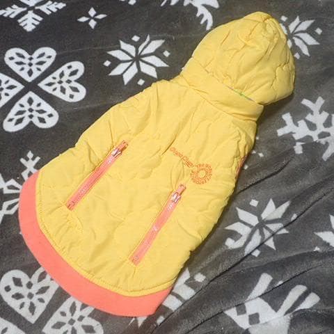 Ｍサイズ チュッパチャプス柄　パーカー取り外し 中綿　ダウンコート