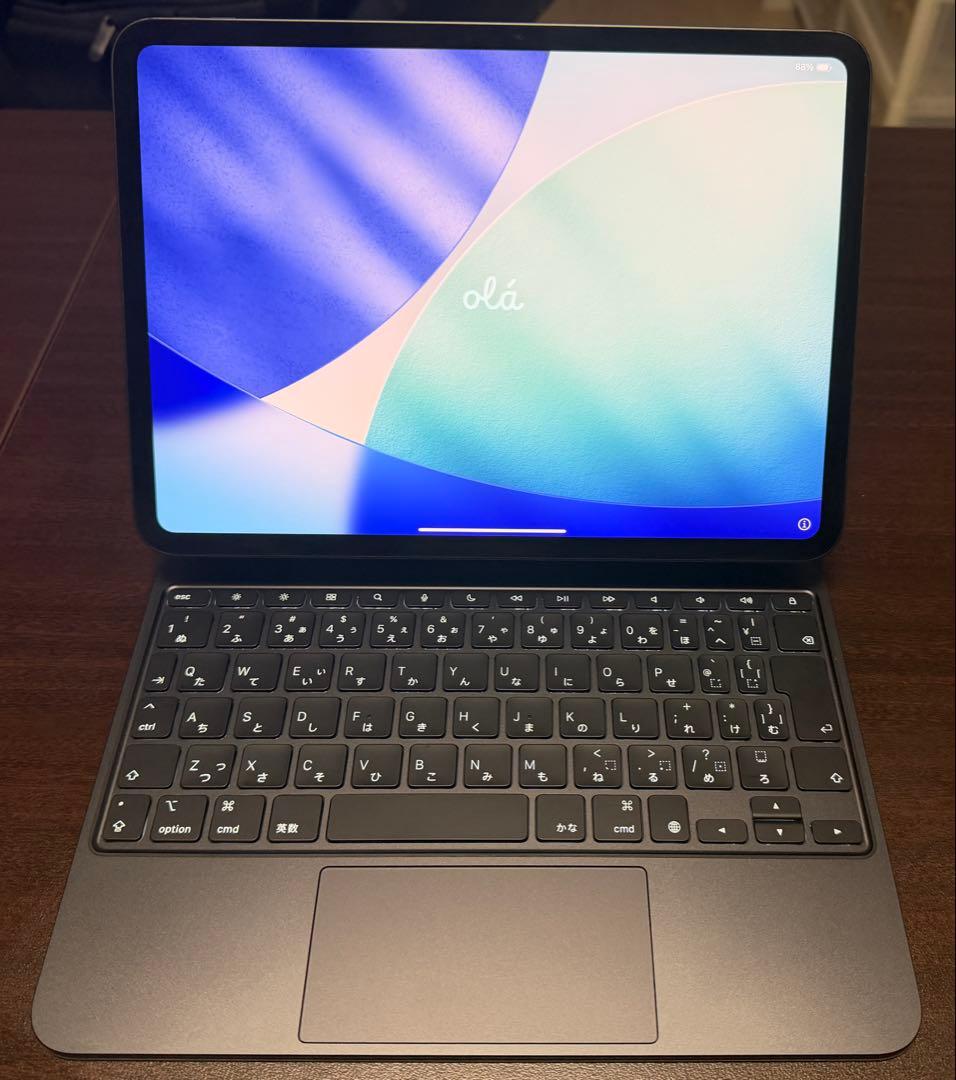 iPad Pro 11インチ（M4） Wi-Fi + Cellularモデル