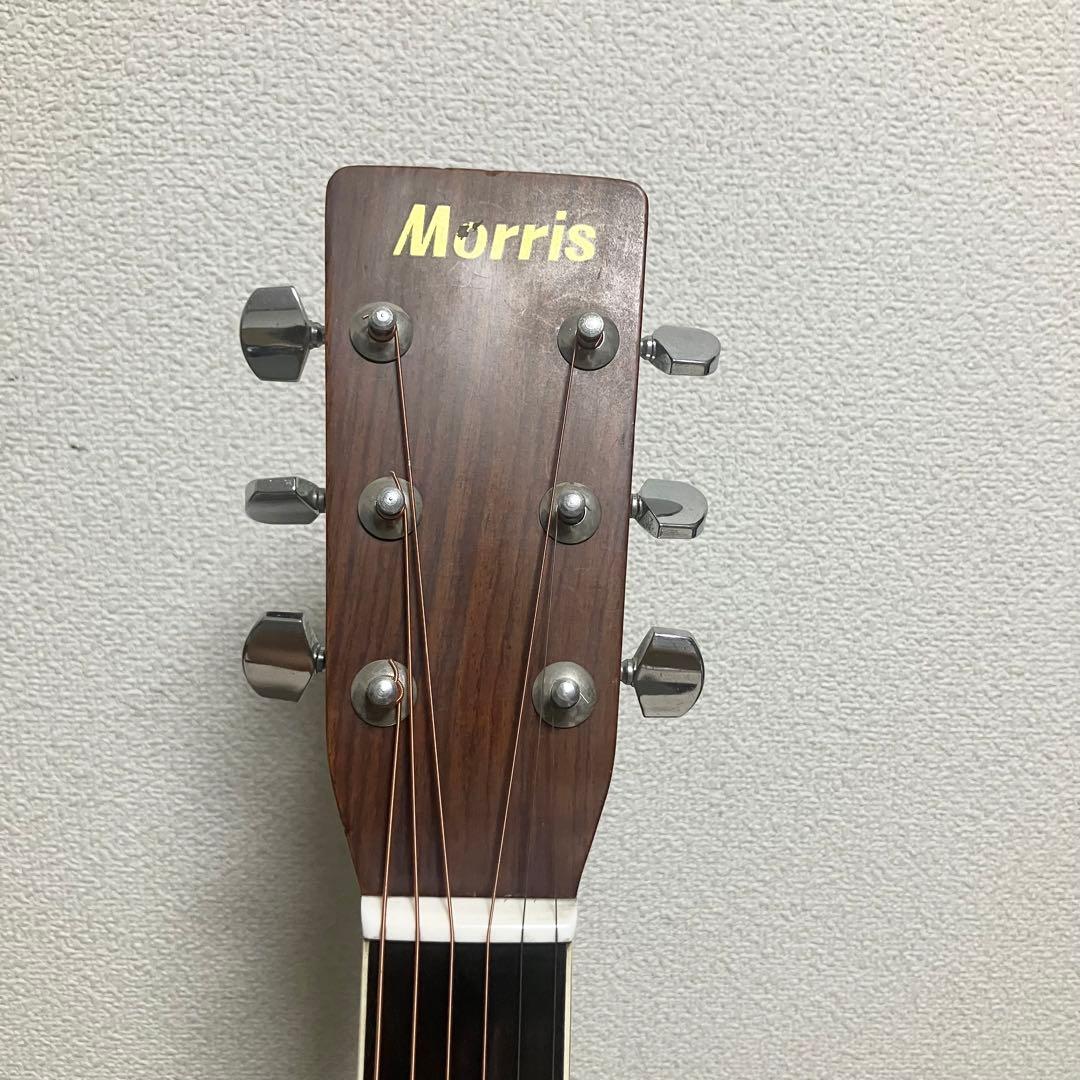【弦新品】モーリスW-20 楕円幌馬車ラベル アコースティックギター