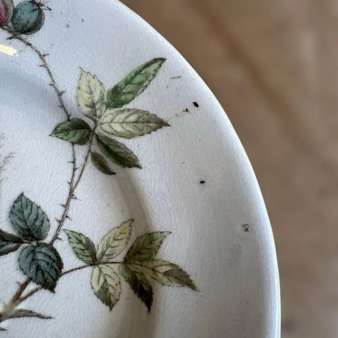 アンティーク　ジョン・モードロック・ロビン・プレート1800年代後半コレクター