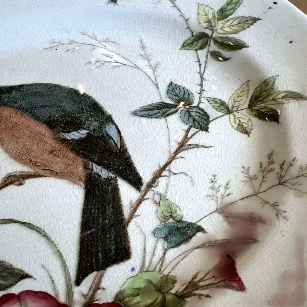 アンティーク　ジョン・モードロック・ロビン・プレート1800年代後半コレクター