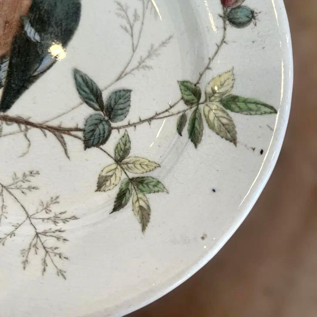 アンティーク　ジョン・モードロック・ロビン・プレート1800年代後半コレクター