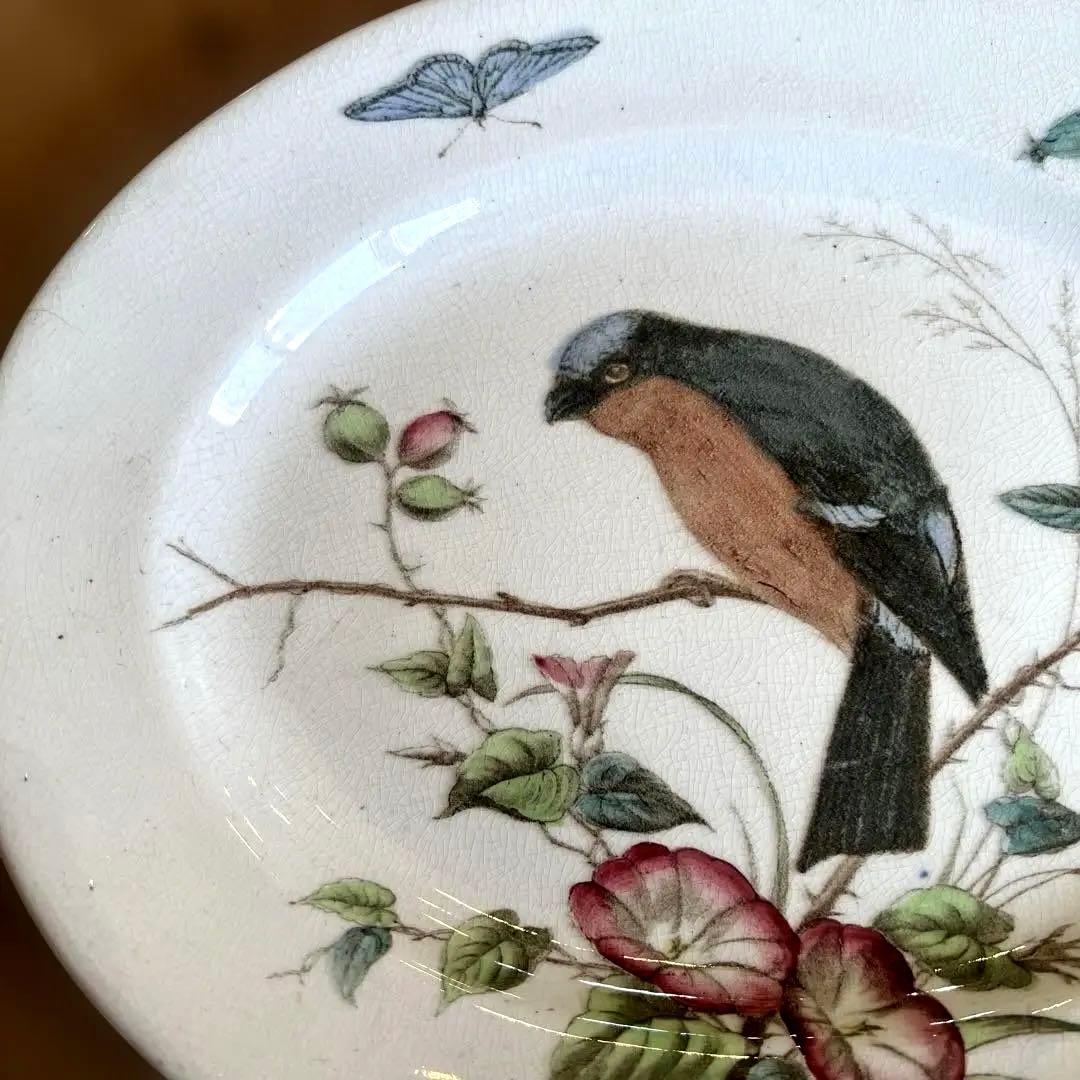 アンティーク　ジョン・モードロック・ロビン・プレート1800年代後半コレクター