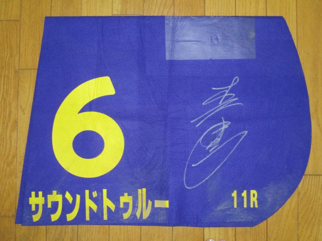 競馬 サウンドトゥルー第42回帝王賞実使用ゼッケン 森泰斗元騎手サイン入り