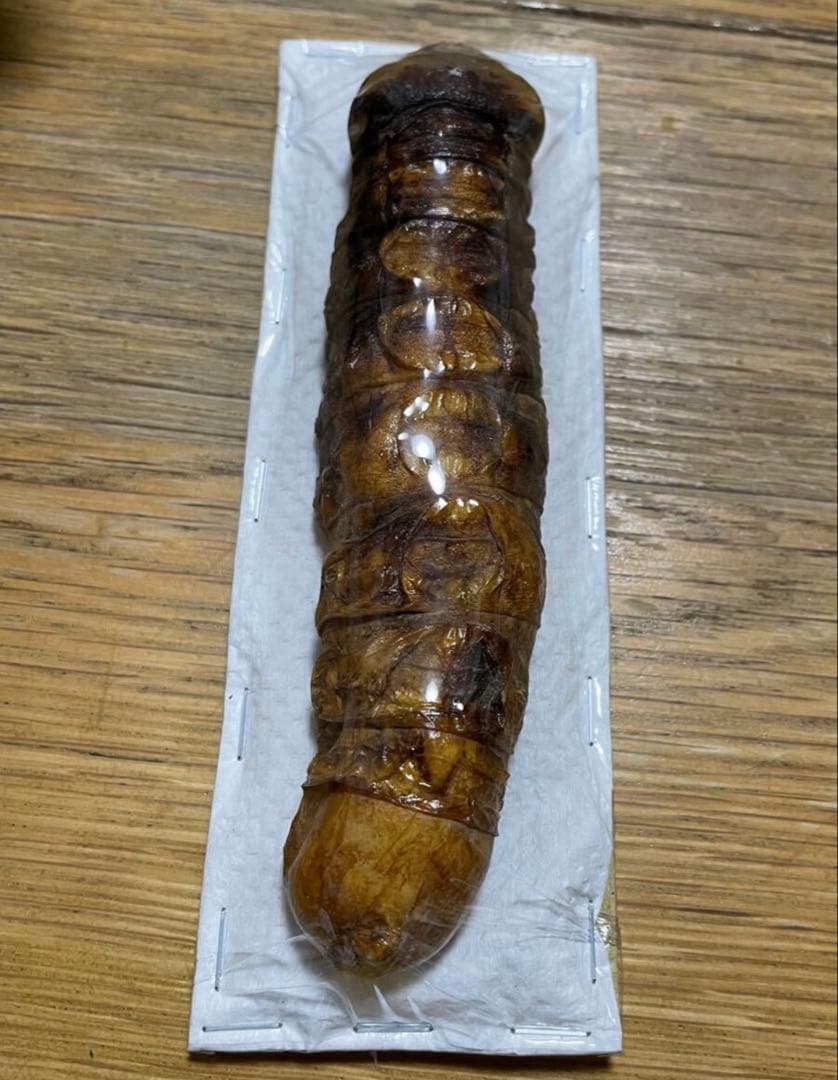 スジバネウスバウスバカミキリ　標本　幼虫