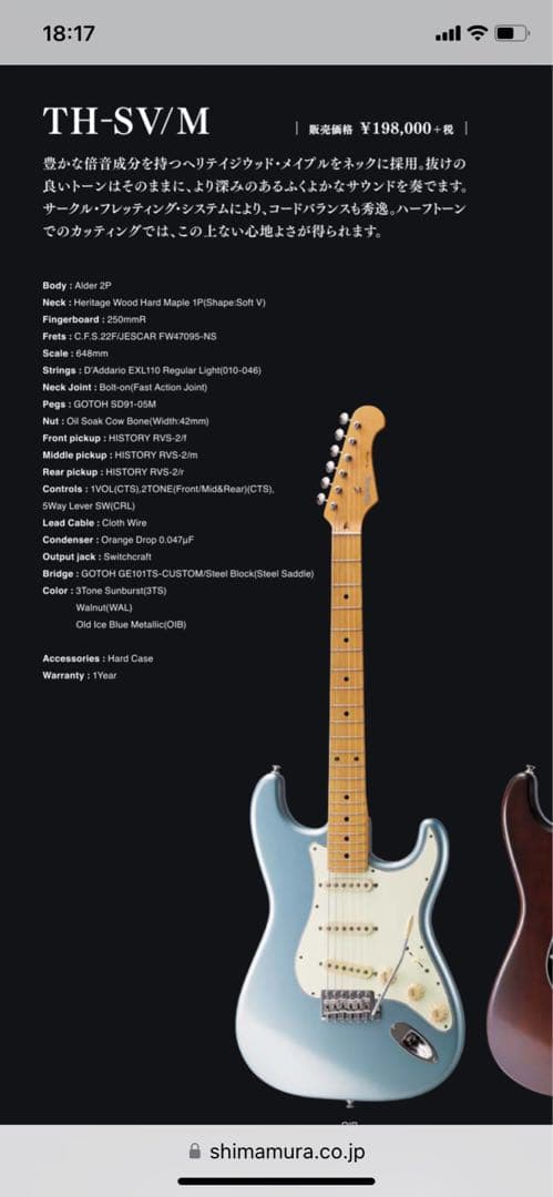 送料込み　ヒストリー History TH-SV/M OIB フジゲン日本製