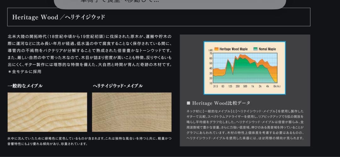 送料込み　ヒストリー History TH-SV/M OIB フジゲン日本製