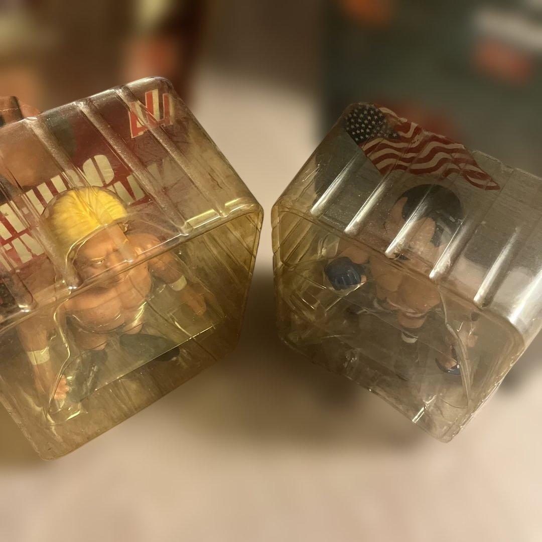 PRIDE超激レア・最終入荷高山善廣 × ドン・フライ 伝説プロレス　完品美品