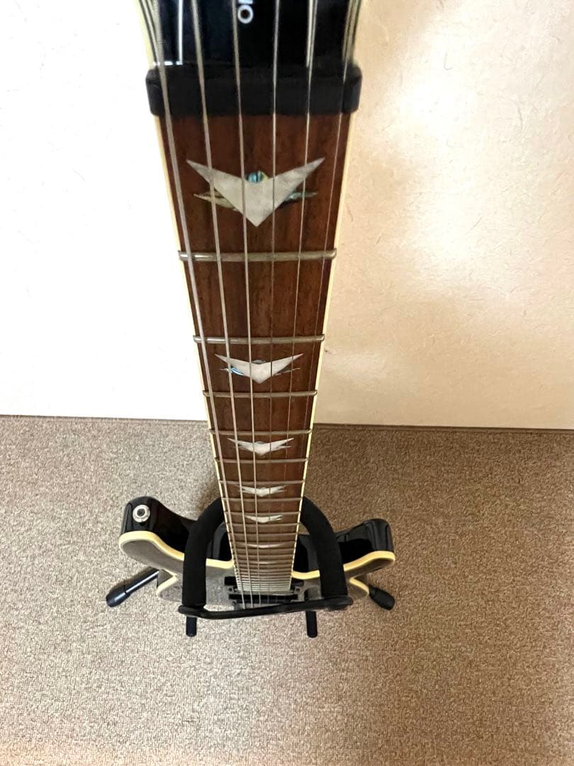 Schecter Diamond Series美品10月から出張に行くので値下げ