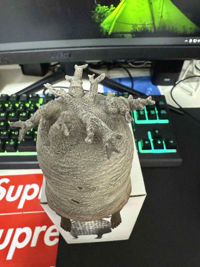 ozwrt BaobabMan バオバブマン　ssサイズ