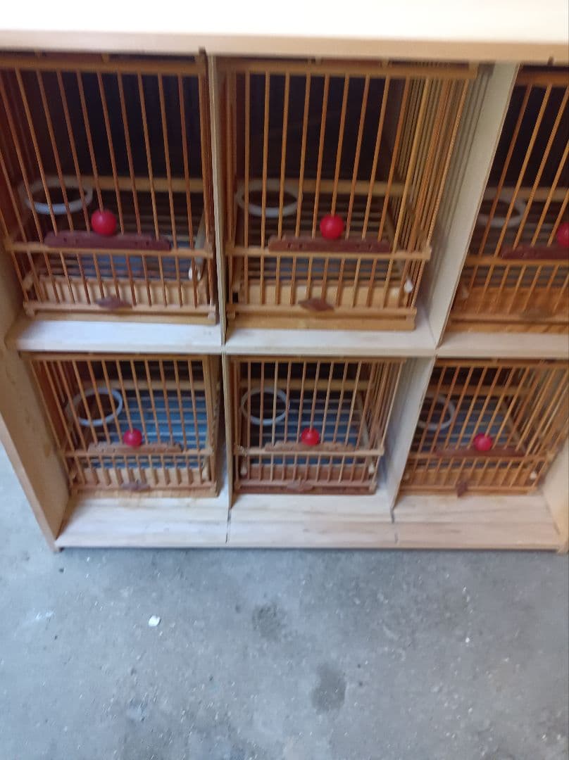 メジロ籠、メジロカゴ、メジロかご