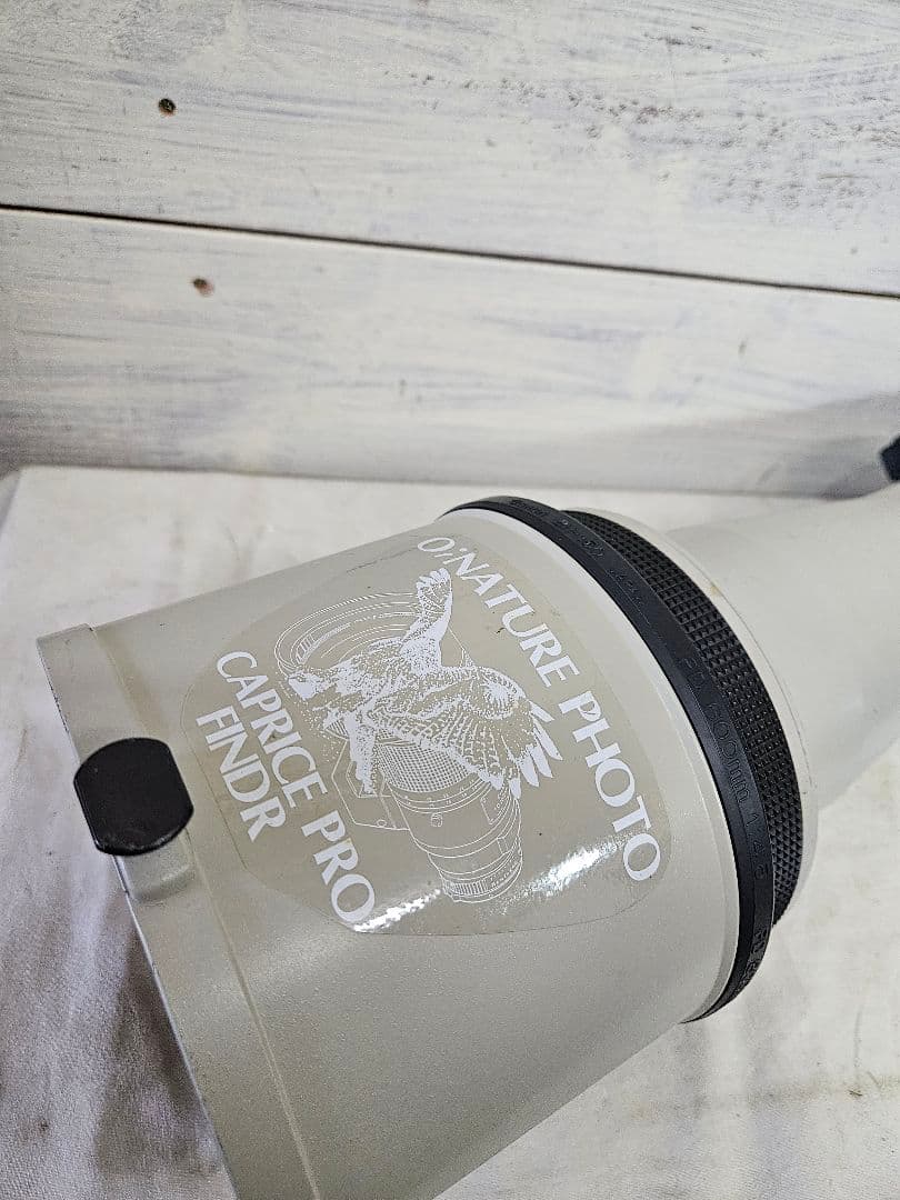 キャノン LENS FD 800mm 1:5.6 L 望遠 単焦点レンズ 一眼