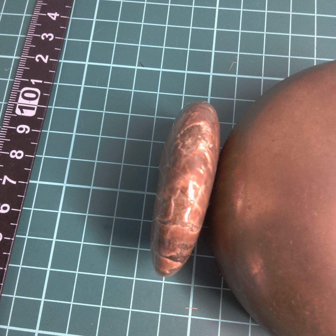 小物１ アンモナイト化石 光沢あり