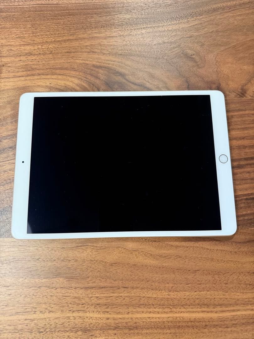 Apple iPad pro 10.5インチ 256GBゴールド 本体