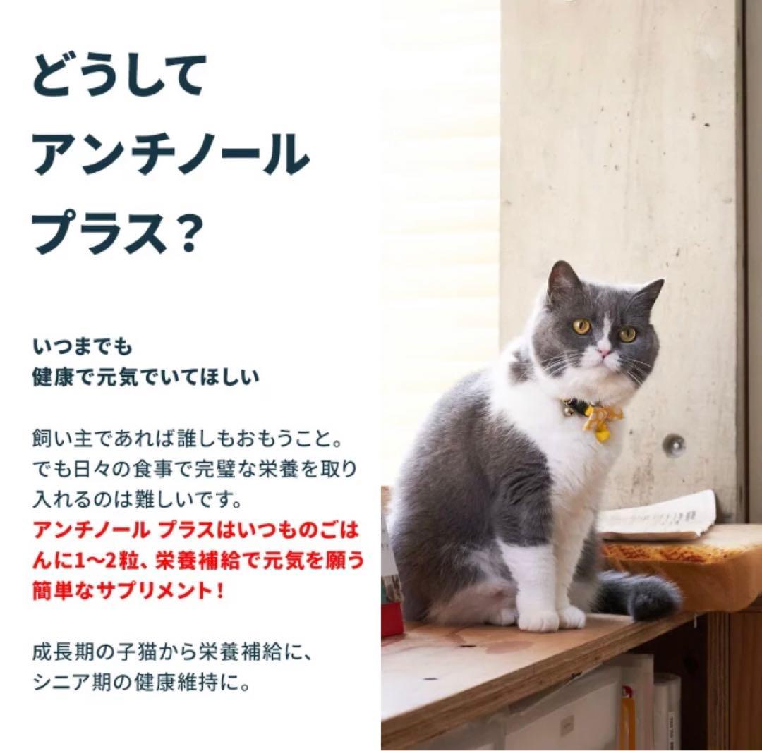 ★新品未開封★VetzPetzアンチノールプラス90粒☆わんちゃんもOK!