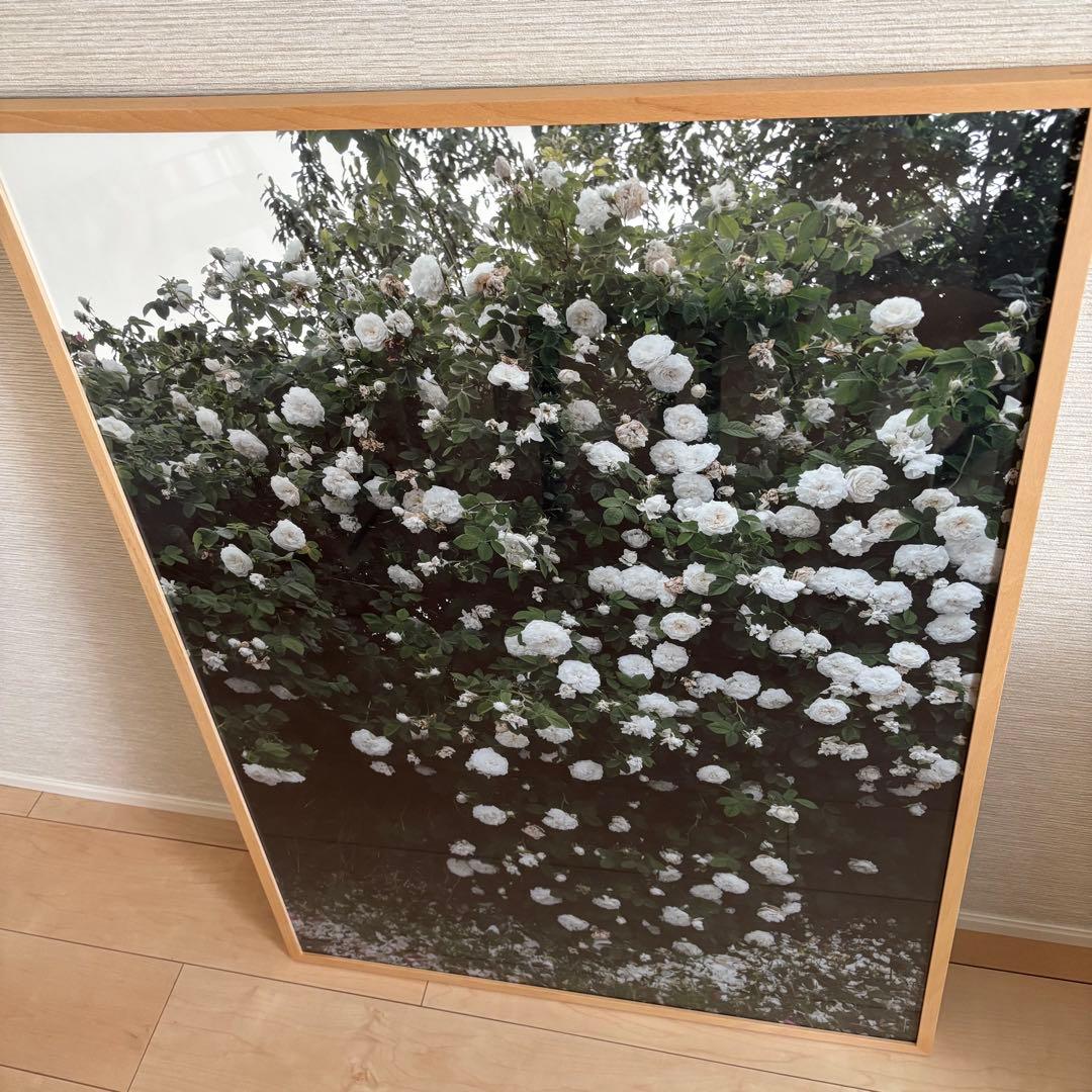 Fine Little Day ROSES ポスター 70x100cm