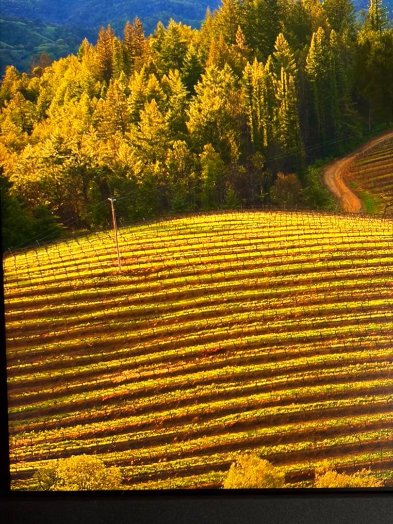 GIGABYTE M27Q P 27インチ モニター