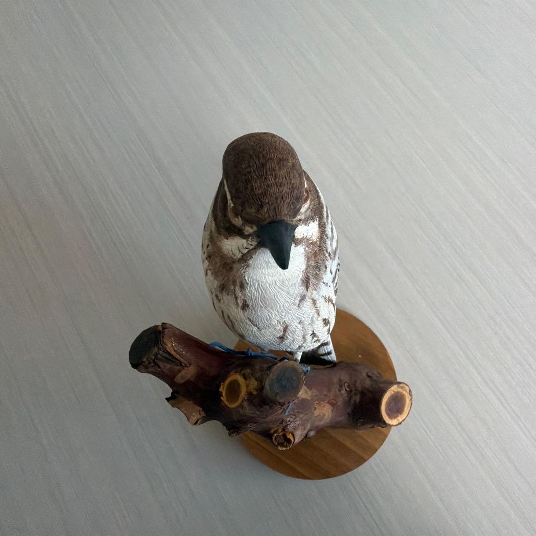 リアル　「コゲラ」 バードカービング　　　　　野鳥彫刻　木彫りの野鳥