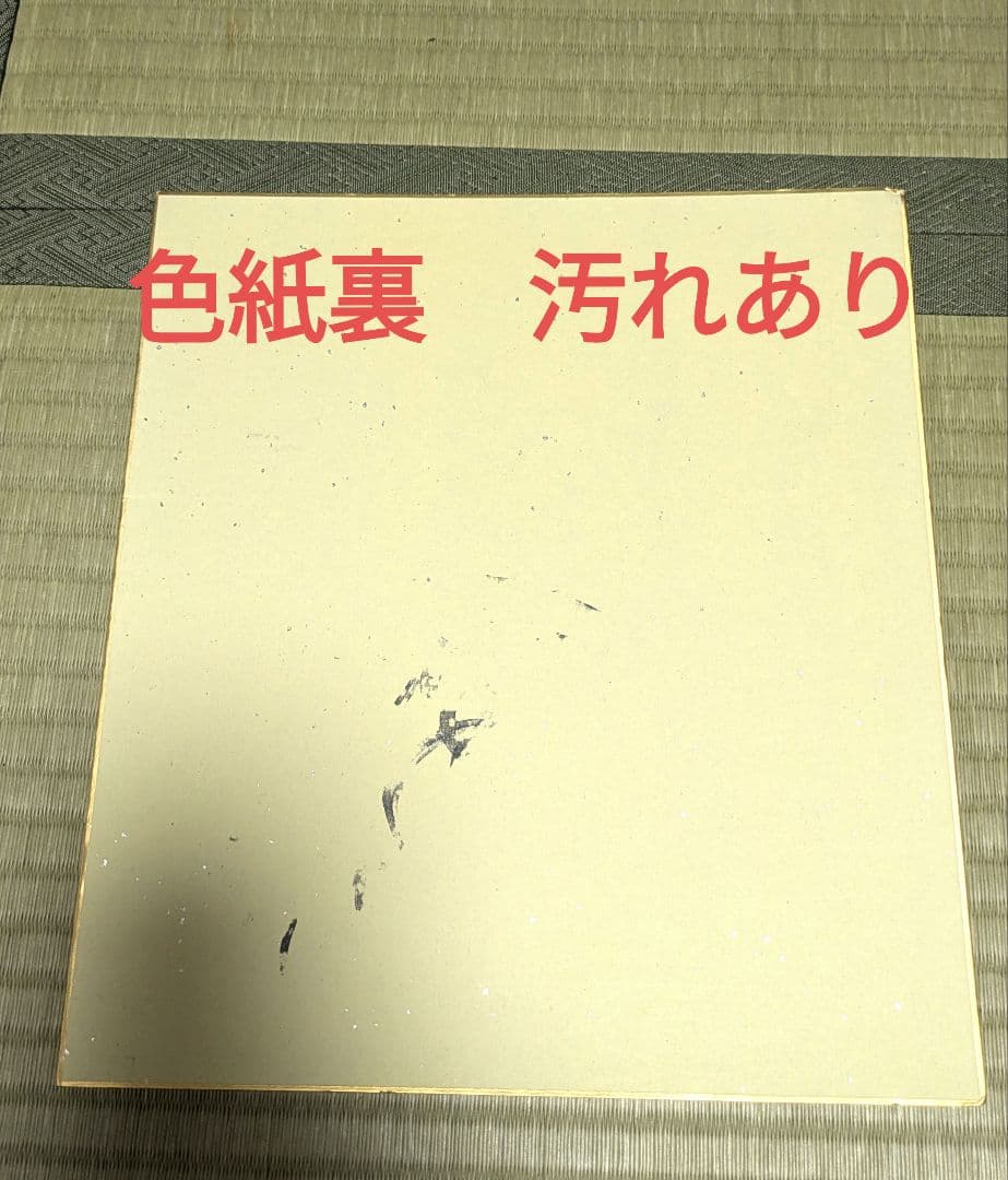 つば九郎　Yakult Swallows グッズ　サイン