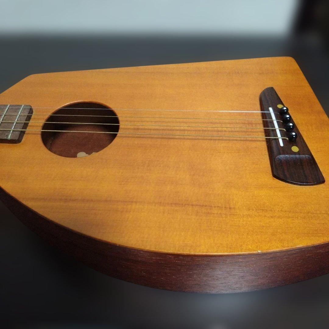 楽器　一五一会　弾き方ビデオ付き