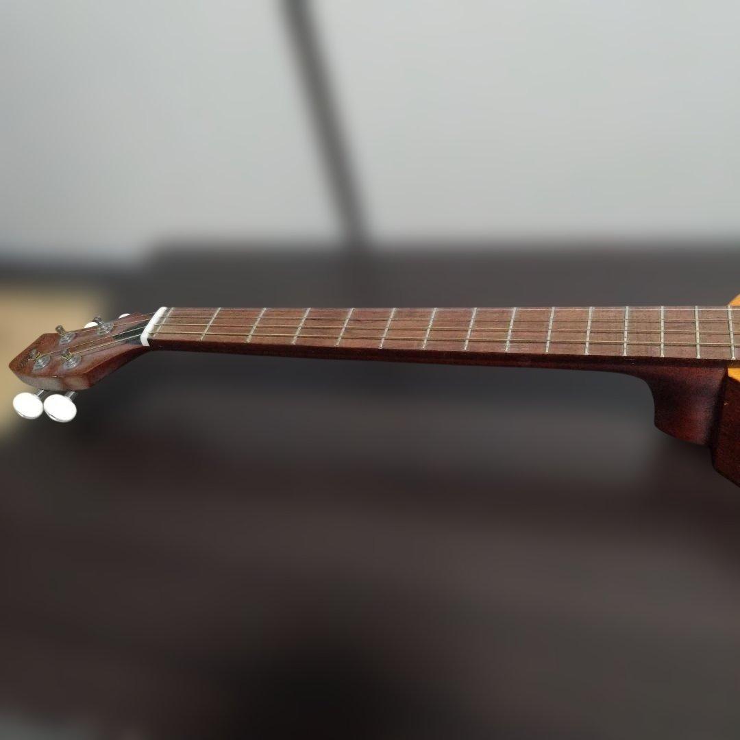 楽器　一五一会　弾き方ビデオ付き