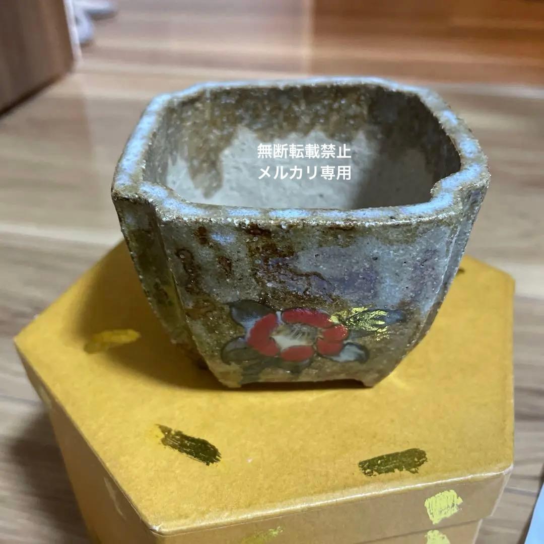 盆栽鉢　桑津香石　山野草　梅　椿　小品盆栽