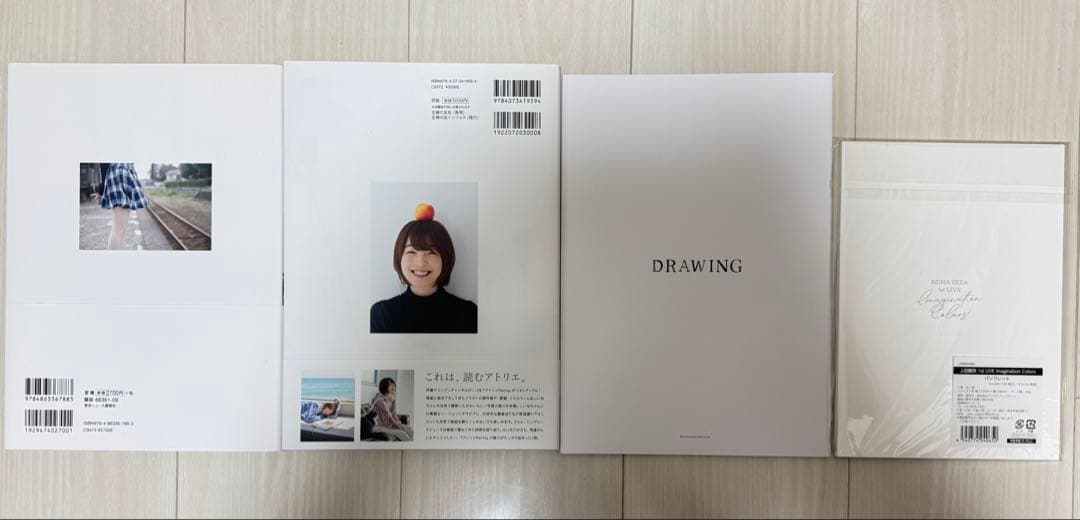 上田麗奈 写真集1st LIVE パンフレット まとめ売り