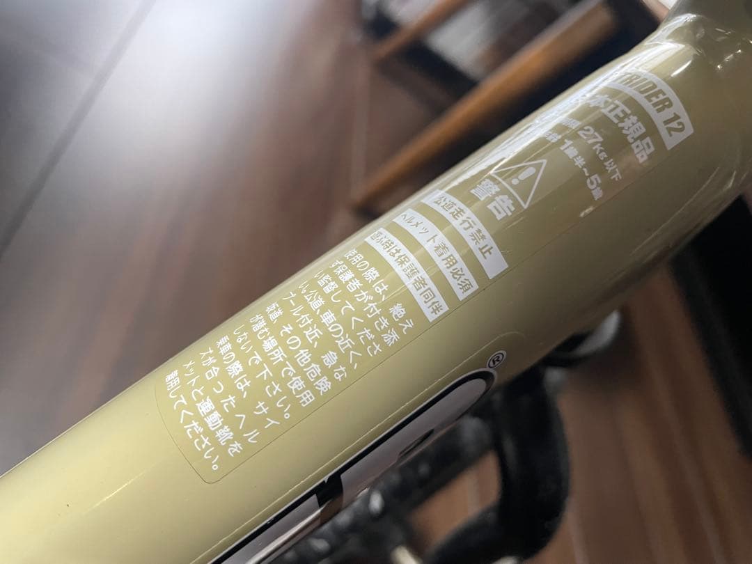 限定サファリカラー STRIDER スポーツモデル 2024 15周年記念モデル