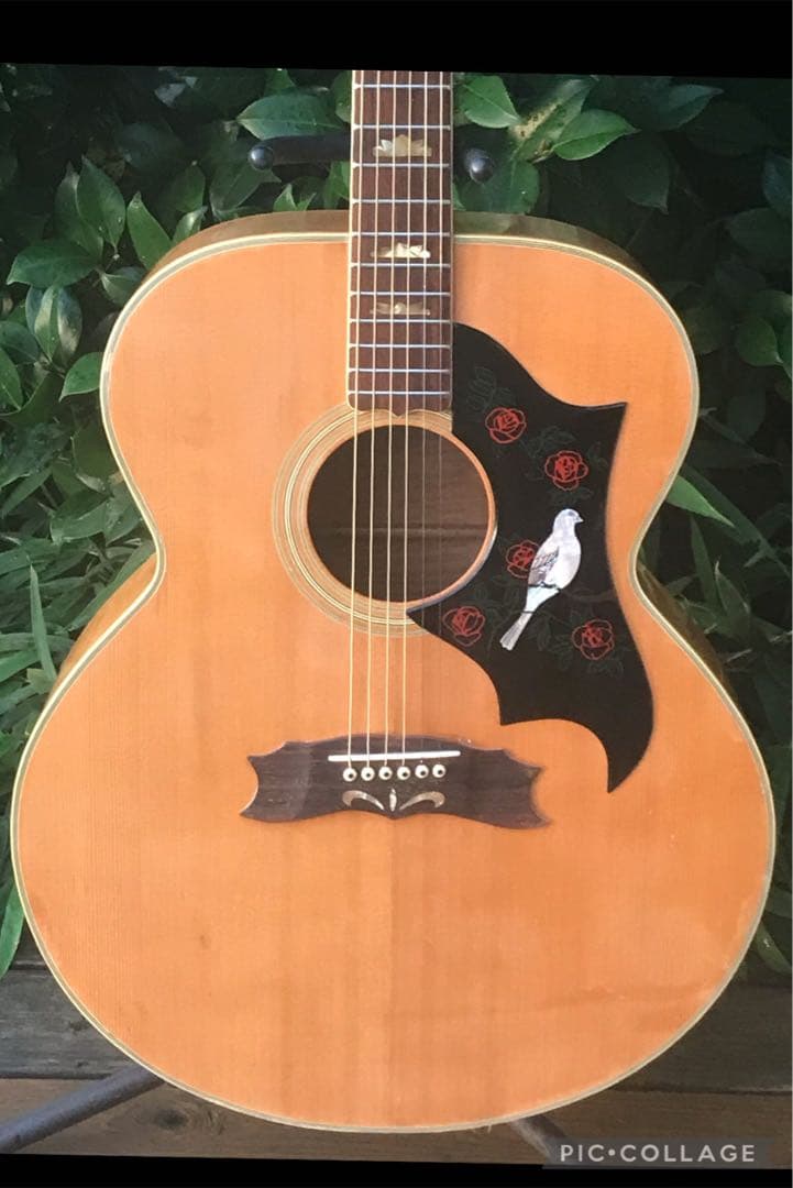 Morales Ｍ450 J-180model モラレス