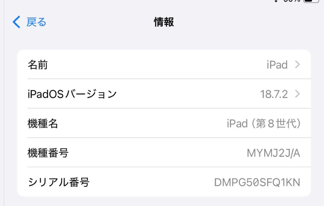 Cellular iPad 第8世代 32GB Silver