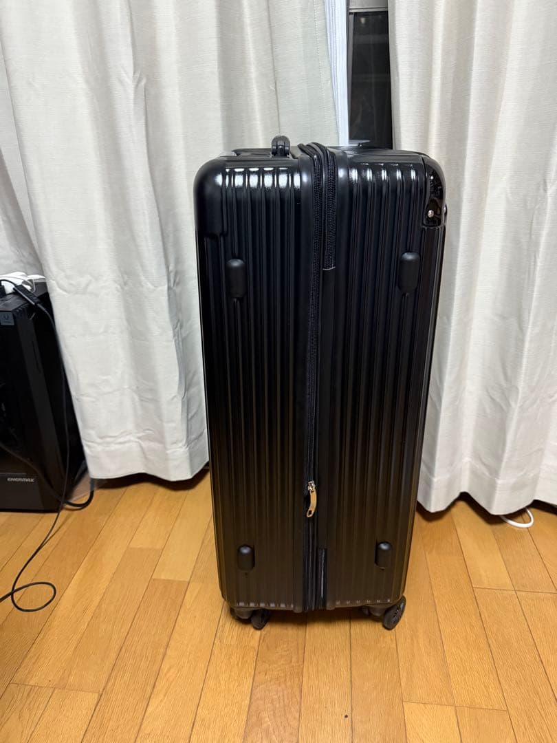 EXCITECH Biz スーツケース Lサイズ 97L ブラック