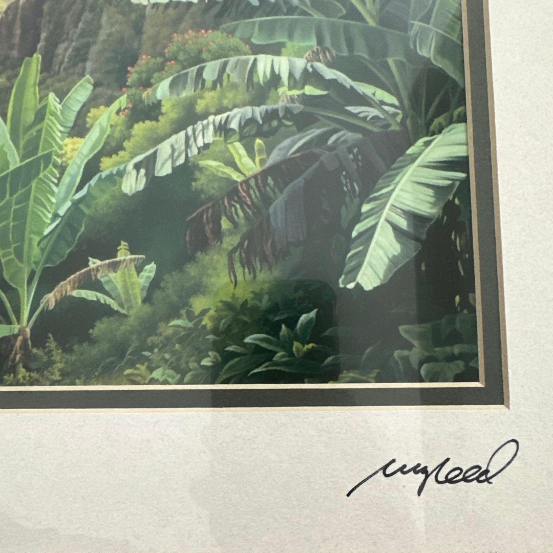 【最後の出品】高級コアウッドのフレーム　ハワイ熱帯植物の風景画 サイン入り