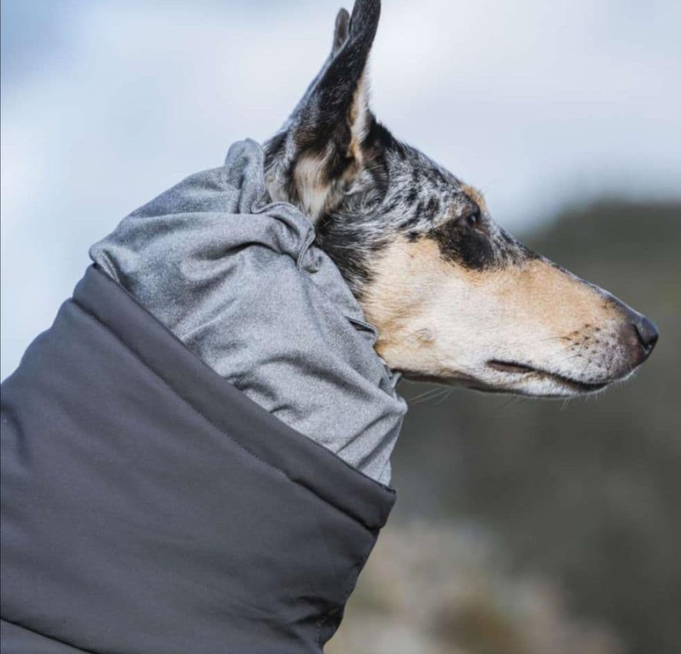 Hurtta エクストリームオーバーオール 犬用防寒オーバーオール グレイ30М