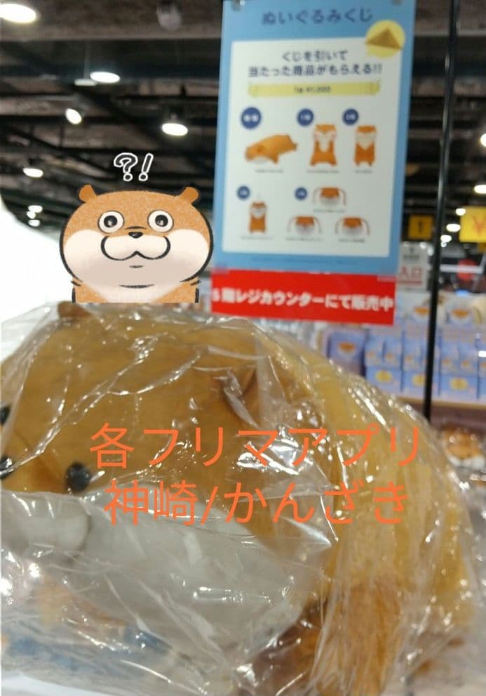 【非売品】可愛い嘘のカワウソぬいぐるみくじ特等/特賞