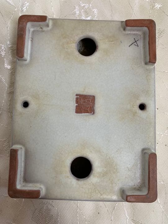 長方　盆栽鉢　落款あり