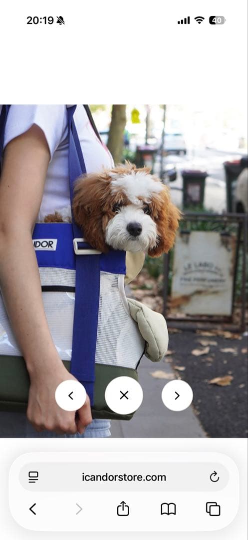 iCANDOR ブリスベンバッグ_イーストウッドブルー Mサイズ